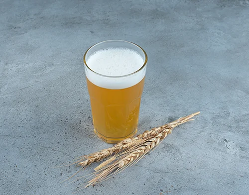 精酿白啤的酿造工艺：从麦芽到酒杯的匠心之旅
